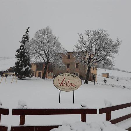 Апартаменты Agriturismo "Veritas" Bed & Wine Casaleggio Boiro Экстерьер фото