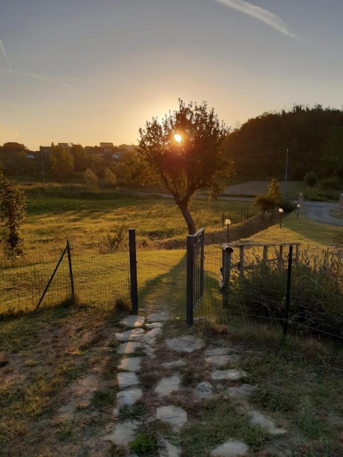 Апартаменты Agriturismo "Veritas" Bed & Wine Casaleggio Boiro Экстерьер фото