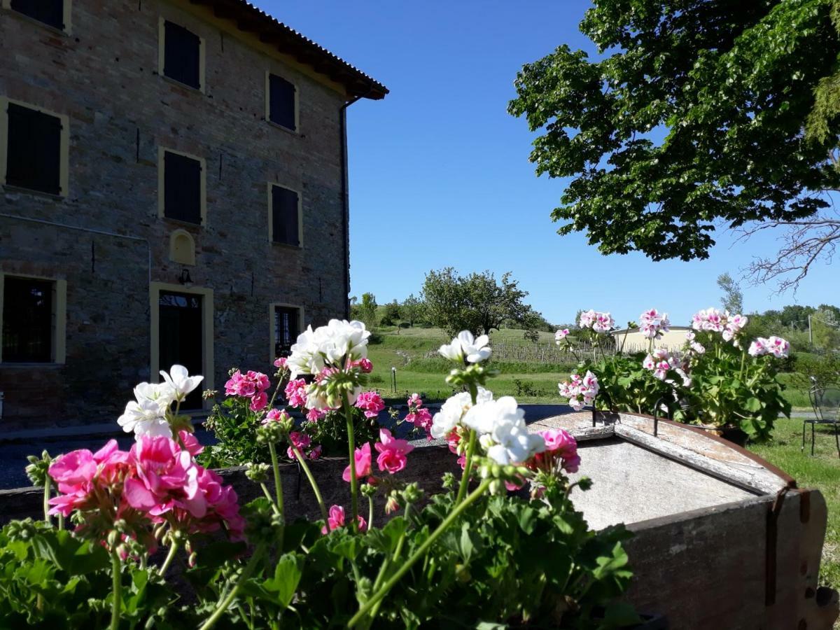 Апартаменты Agriturismo "Veritas" Bed & Wine Casaleggio Boiro Экстерьер фото